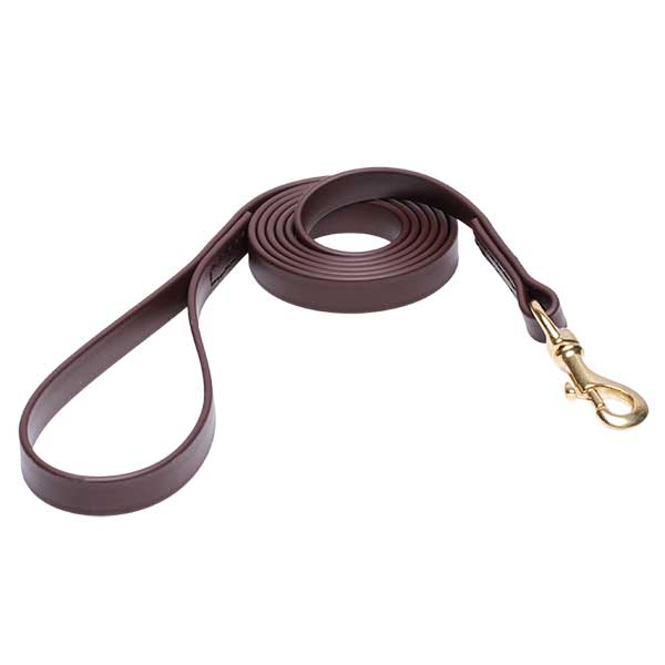 Biothane Dog Leash for Walking