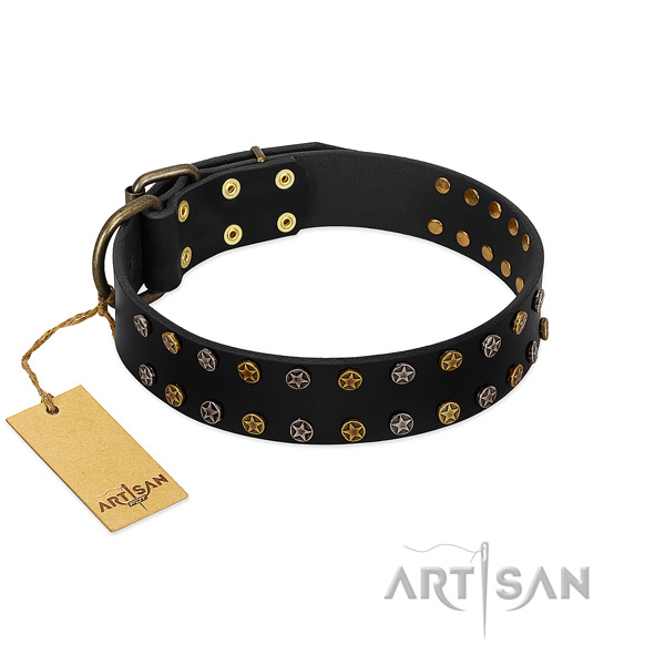 Extraordinary genuine leather dog collar with strong studs