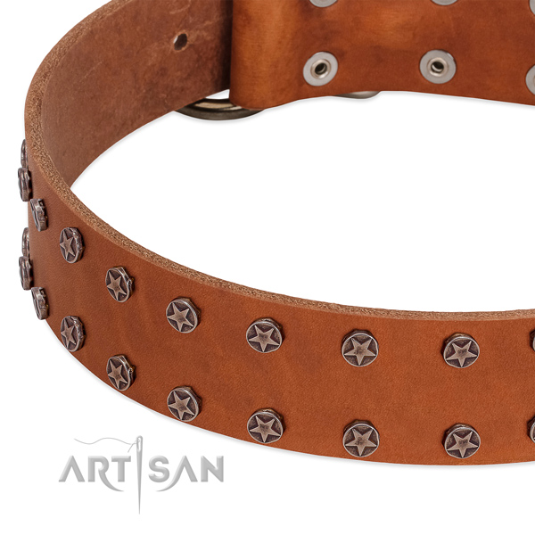 Significant full grain leather dog collar for comfy wearing