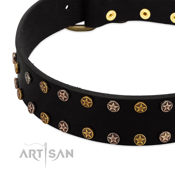 Impressive embellishments on genuine leather collar for your canine