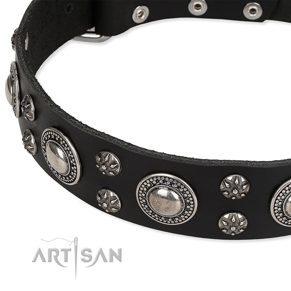 Handy use embellished dog collar of quality full grain leather