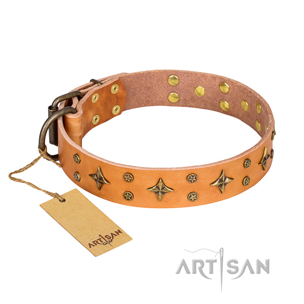 Everyday use dog collar of fine quality natural leather with embellishments