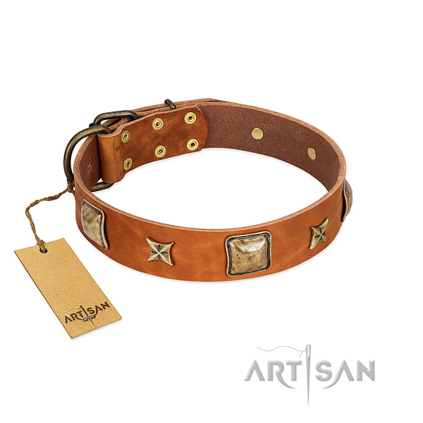 Unusual natural genuine leather collar for your four-legged friend