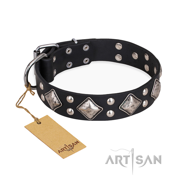 Daily walking decorated dog collar with strong fittings