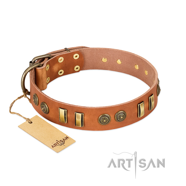 Corrosion resistant hardware on genuine leather dog collar for your pet