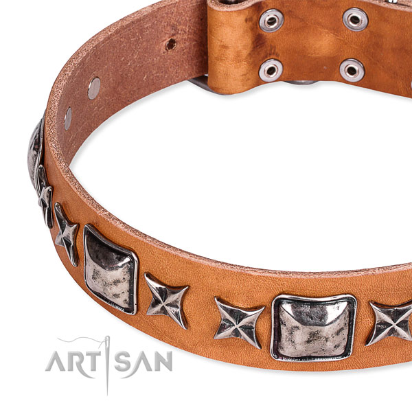 Daily use embellished dog collar of high quality full grain leather