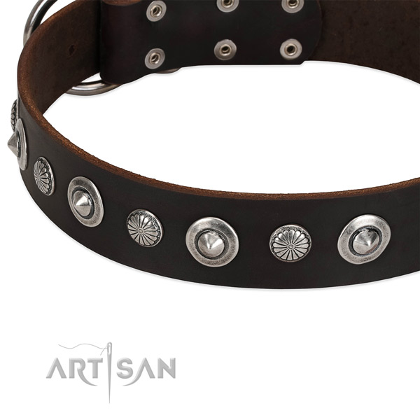 Trendy studded dog collar of best quality full grain leather