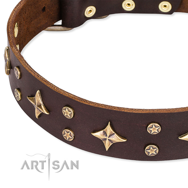 Everyday use adorned dog collar of top notch full grain genuine leather