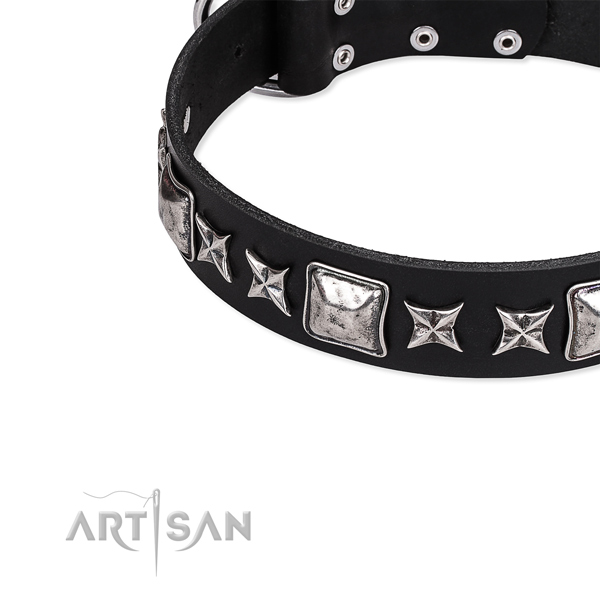 Fancy walking studded dog collar of strong full grain leather