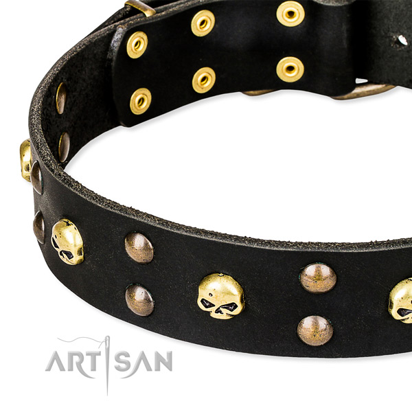 Stylish walking adorned dog collar of finest quality leather