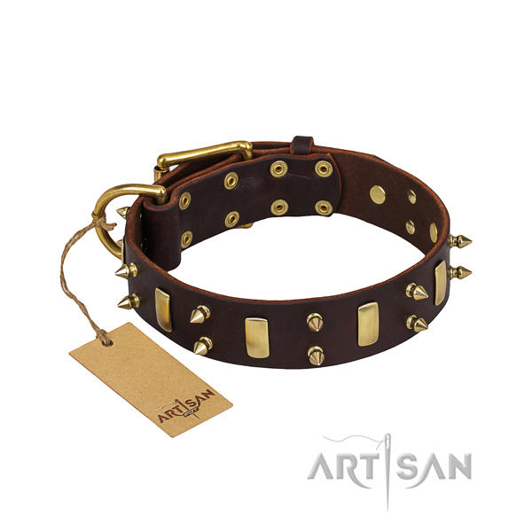 Basic training dog collar of quality genuine leather with embellishments