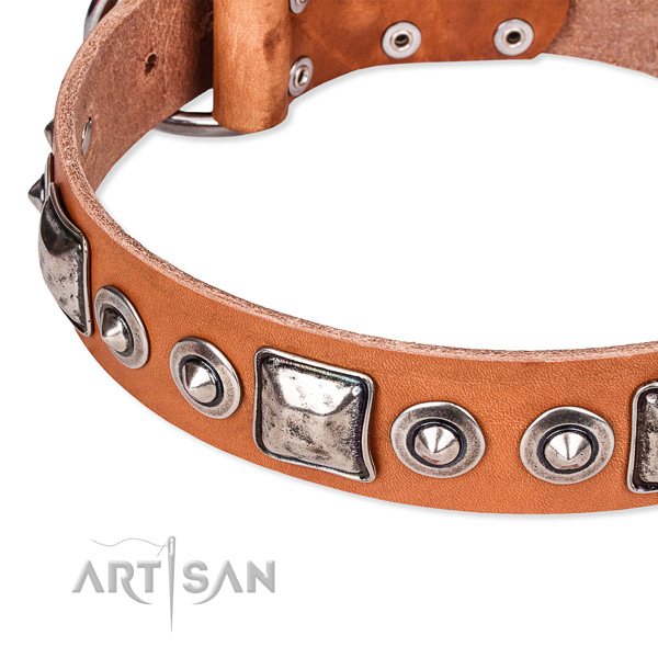 Top notch full grain leather dog collar crafted for your beautiful canine