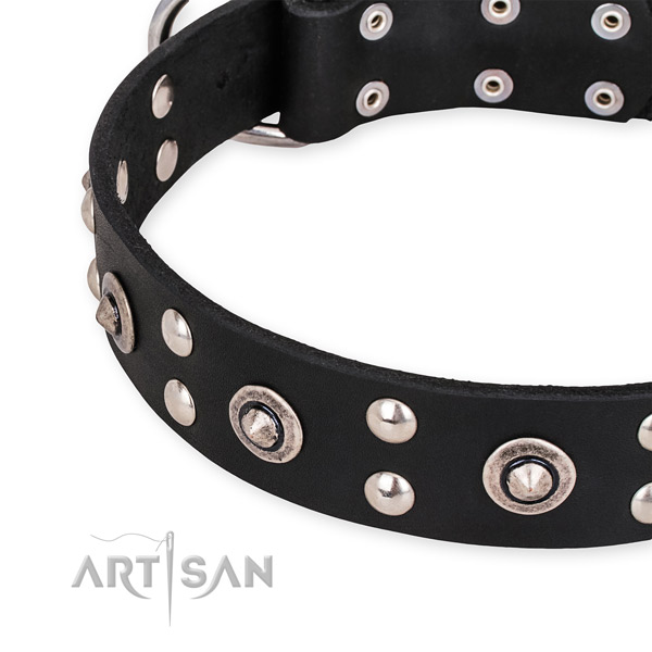 Natural leather collar with reliable fittings for your stylish doggie