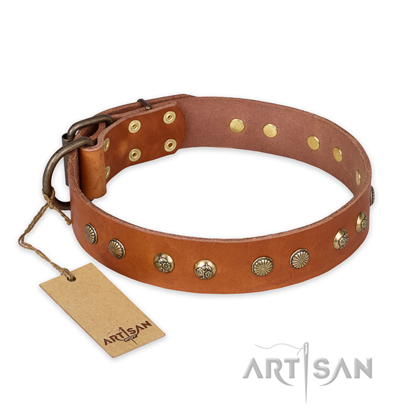 Decorated leather dog collar with rust-proof hardware