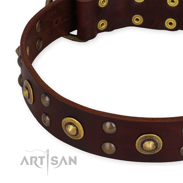 Full grain leather collar with corrosion resistant D-ring for your impressive dog