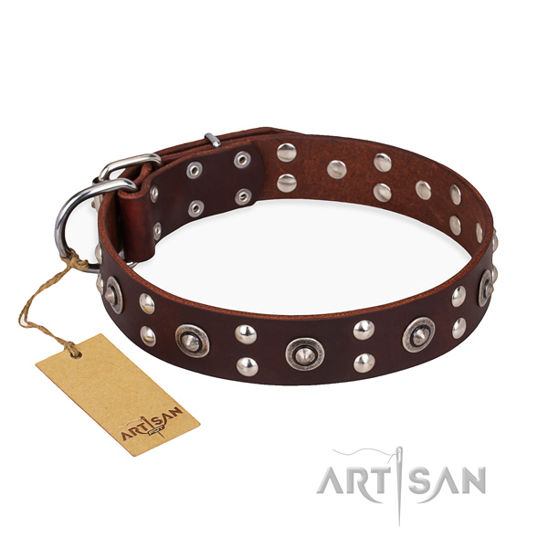 Comfy wearing studded dog collar with corrosion proof fittings