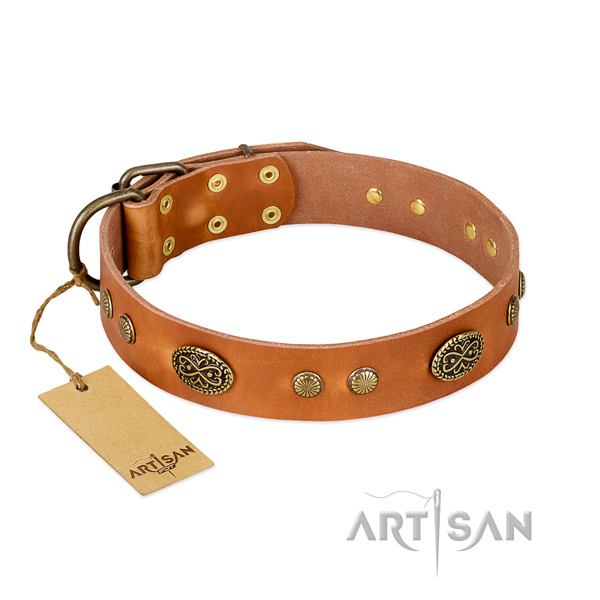 Corrosion resistant traditional buckle on leather dog collar for your doggie