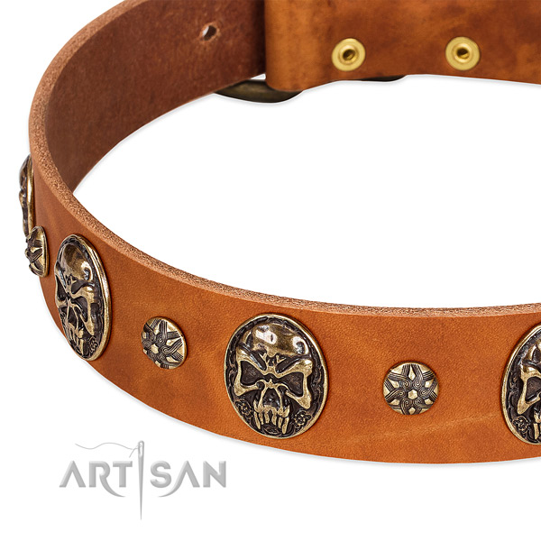 Rust-proof embellishments on full grain natural leather dog collar for your four-legged friend