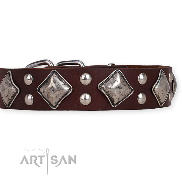 Full grain natural leather dog collar with trendy rust resistant adornments