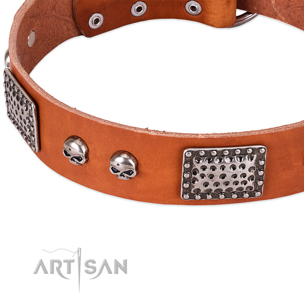 Corrosion proof fittings on genuine leather dog collar for your dog