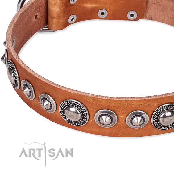 Easy wearing adorned dog collar of best quality full grain leather