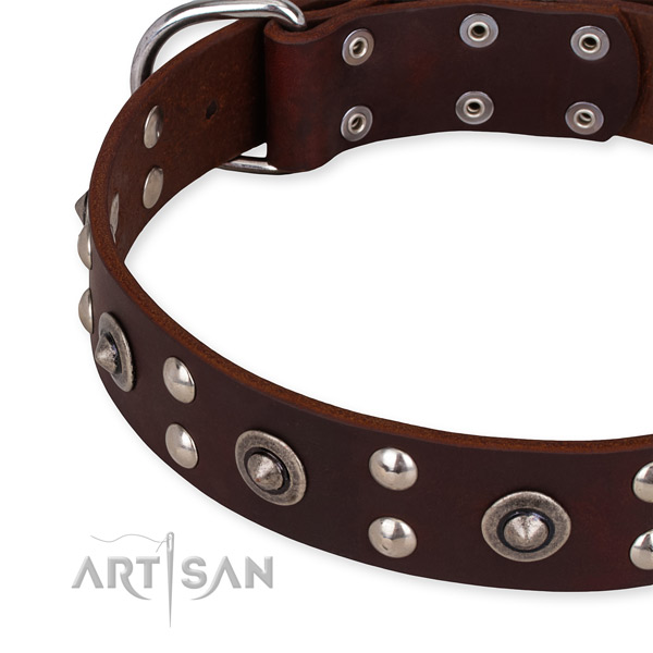 Leather collar with rust-proof buckle for your attractive doggie