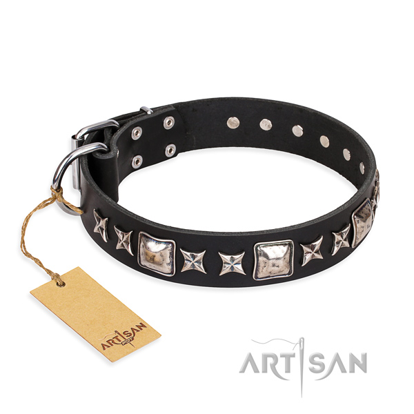 Handy use dog collar of finest quality natural leather with adornments