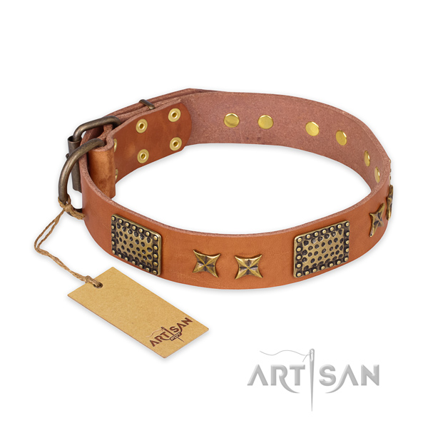 Embellished full grain natural leather dog collar with rust resistant buckle