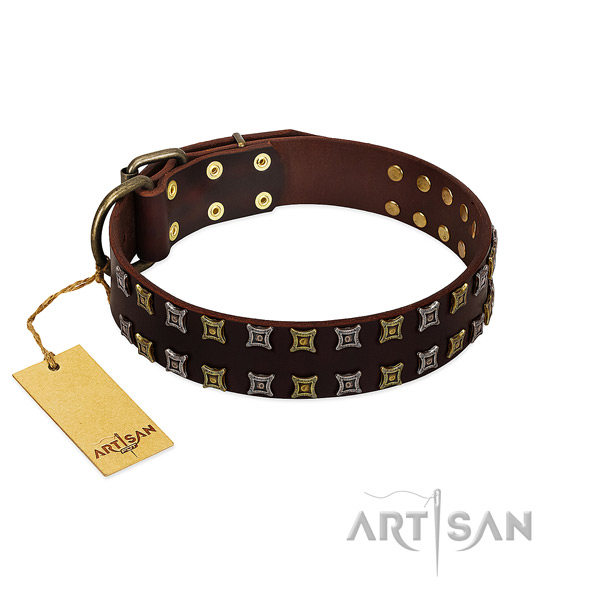 Durable full grain genuine leather dog collar with embellishments for your canine