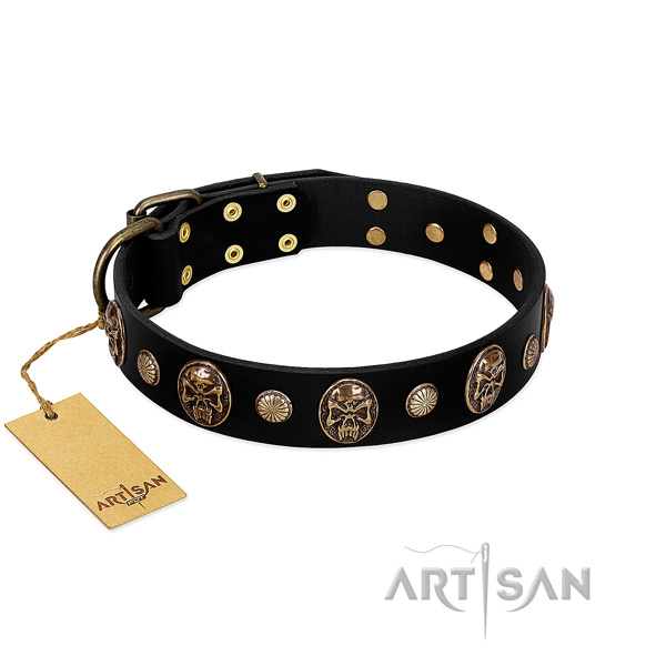 Leather dog collar of reliable material with unique decorations