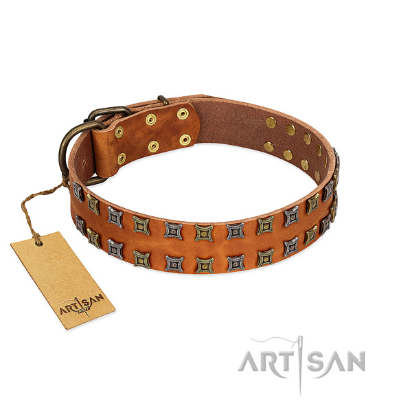 Flexible leather dog collar with decorations for your pet