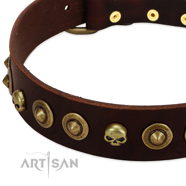 Stylish design decorations on natural leather collar for your canine