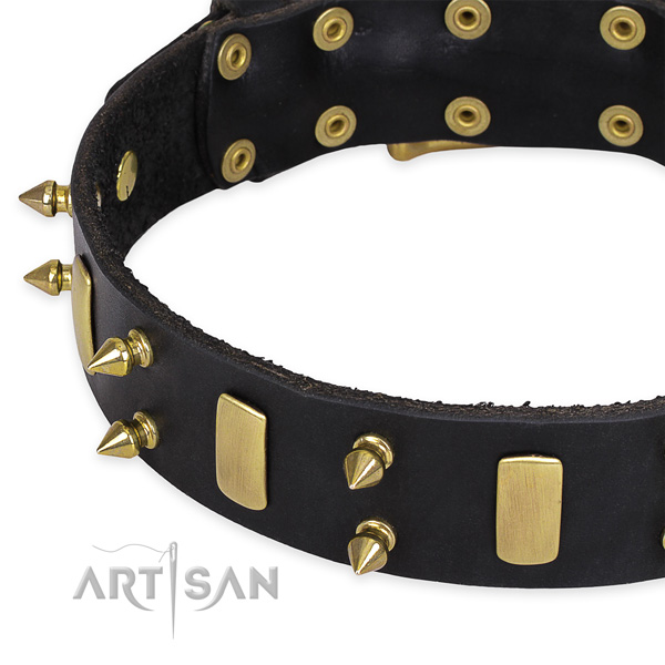 Daily use studded dog collar of best quality full grain leather