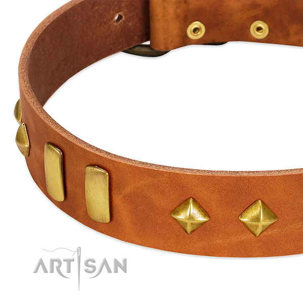 Daily use full grain leather dog collar with unique decorations