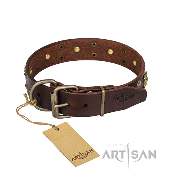 Daily walking dog collar of best quality natural leather with decorations