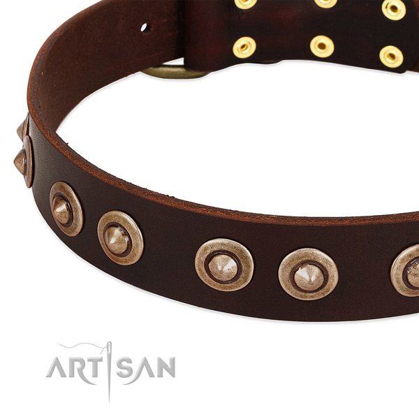 Corrosion proof studs on full grain genuine leather dog collar for your doggie