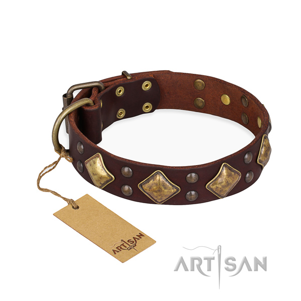 Daily use unique dog collar with rust resistant fittings