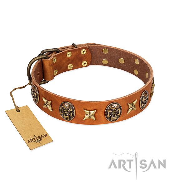 Adorned genuine leather collar for your doggie