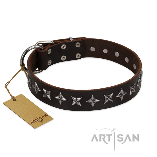 Daily use dog collar of top notch leather with adornments