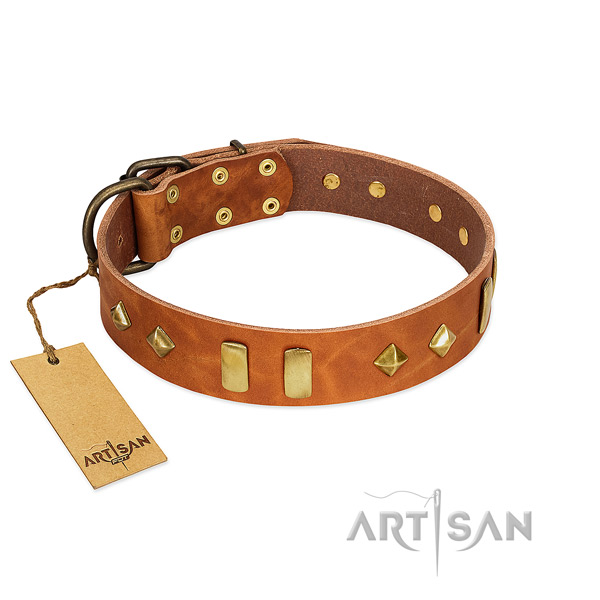 Everyday walking top notch full grain genuine leather dog collar with embellishments