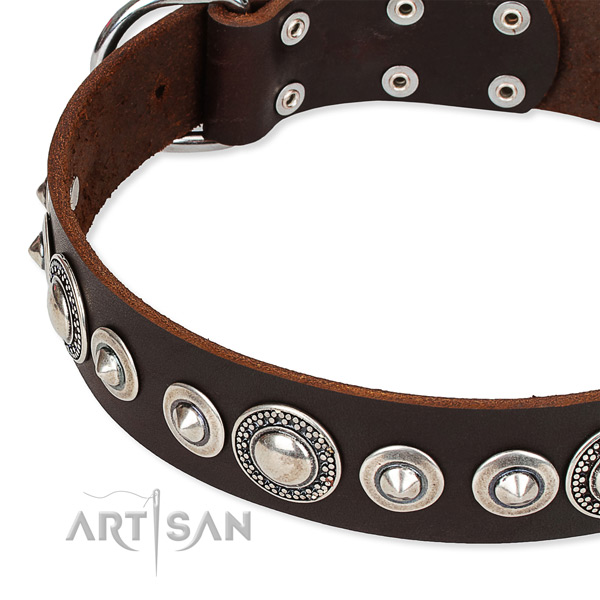 Everyday use adorned dog collar of fine quality full grain genuine leather