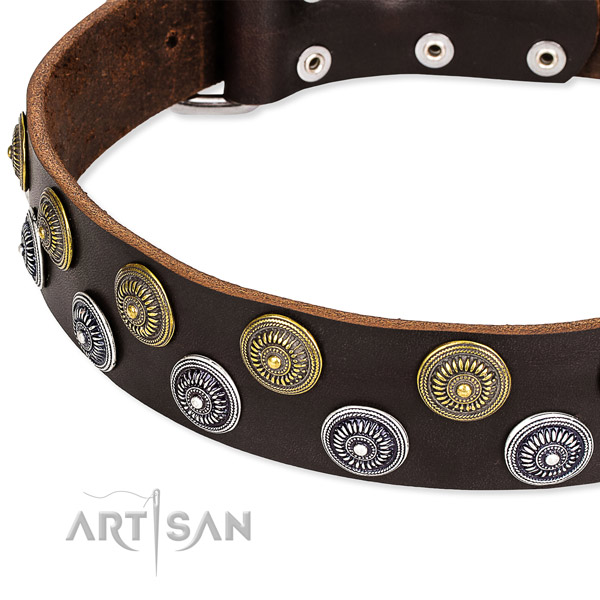 Basic training decorated dog collar of top notch natural leather