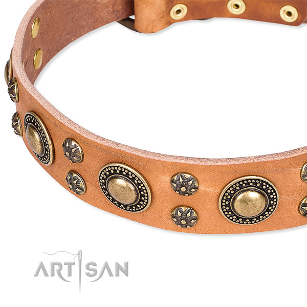 Basic training studded dog collar of quality leather