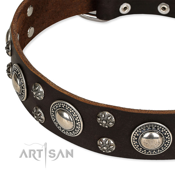 Handy use studded dog collar of quality full grain genuine leather