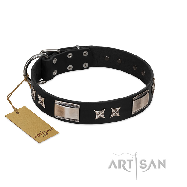 Adorned dog collar of full grain leather