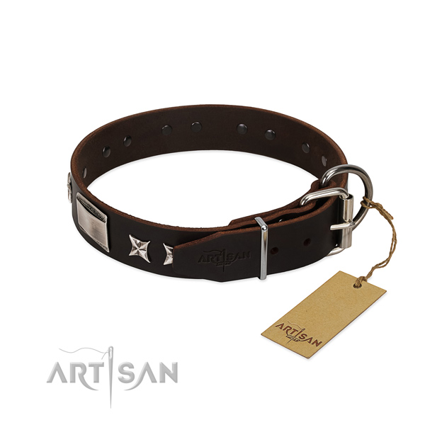 Extraordinary collar of natural leather for your handsome canine