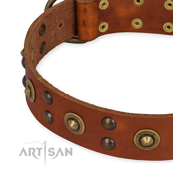 Leather collar with reliable traditional buckle for your lovely dog