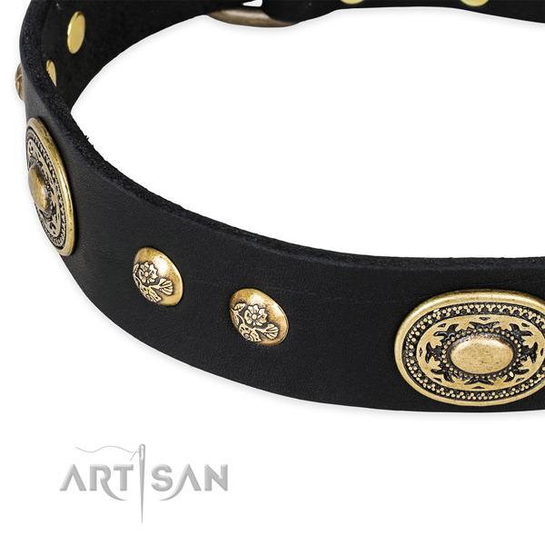 Remarkable genuine leather collar for your attractive pet