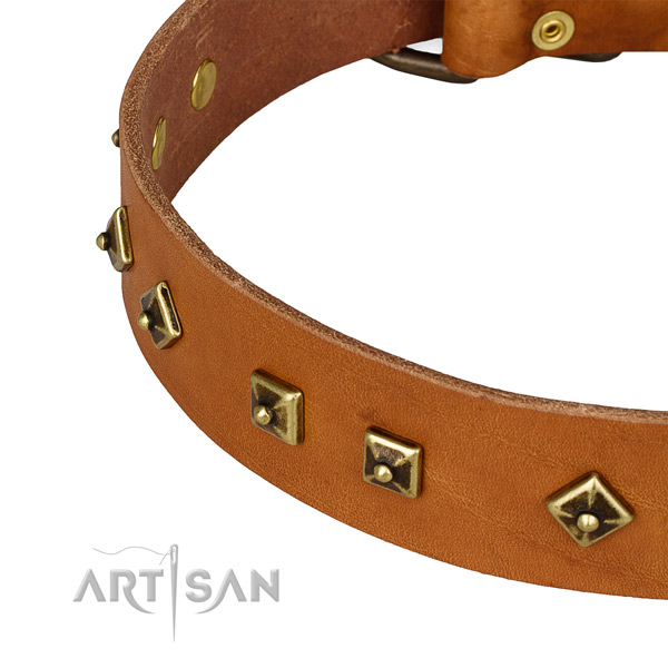 Exceptional natural leather collar for your beautiful canine