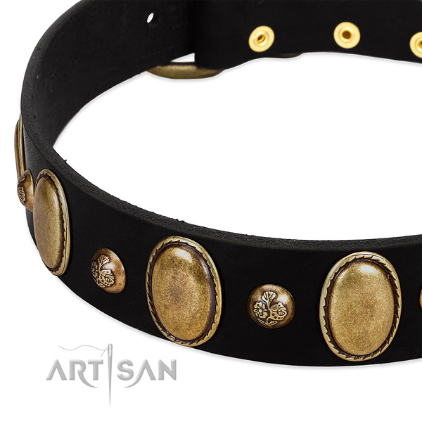 Natural leather dog collar with impressive studs